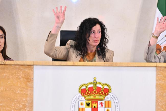 Nuevo reglamento en Almería para proteger a la infancia en riesgo