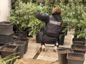 La lucha contra narcotráfico y crimen organizado se intensifica en Almería