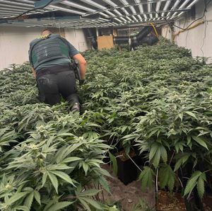Golpazo al narcotráfico con un centenar de cortes eléctricos en Almería
