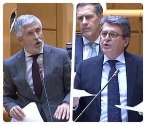 Choque de datos en el Senado sobre seguridad en Almería