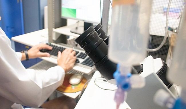 Almería destaca con 210 pacientes en importante estudio sobre enfermedades autoinmunes