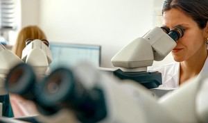 Más de 30 centros andaluces buscan contratar jóvenes en I+D+I con ayudas de 30 millones