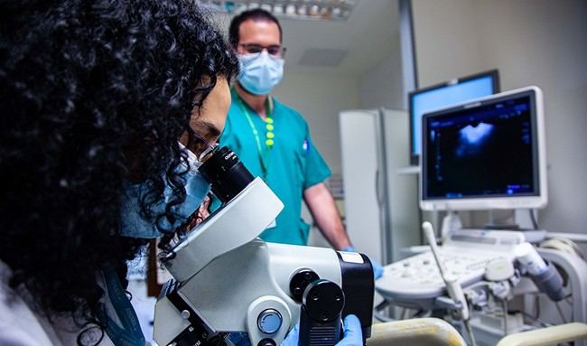 Almería se suma al cribado de cáncer de cuello de útero para más de 58.000 mujeres en 2024