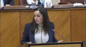 Todos ven electoralismo en la intención de Vox de abrir una cuarta comisión de investigación de la FAFFE