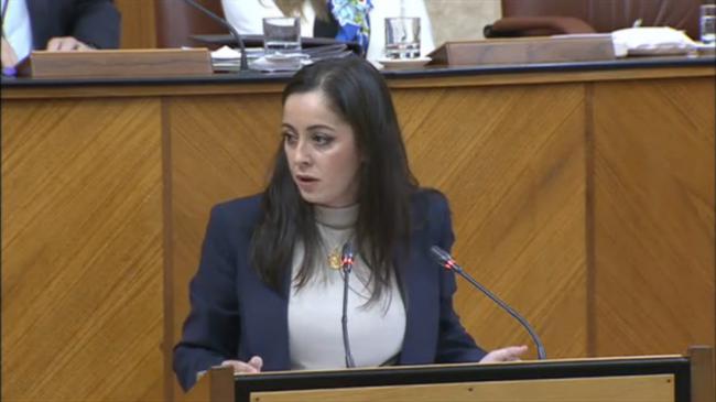 Todos ven electoralismo en la intención de Vox de abrir una cuarta comisión de investigación de la FAFFE