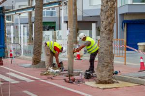 Concluye la renovación del alumbrado del Paseo Marítimo
