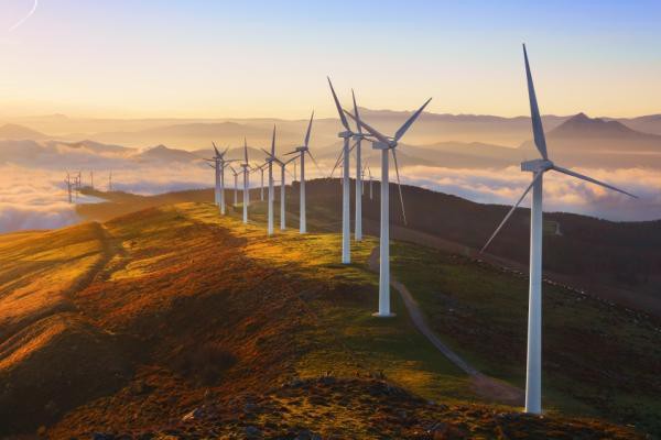 Eurostat revela datos clave sobre la posición de la UE en energías renovables