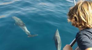 María y la ciudad de los delfines