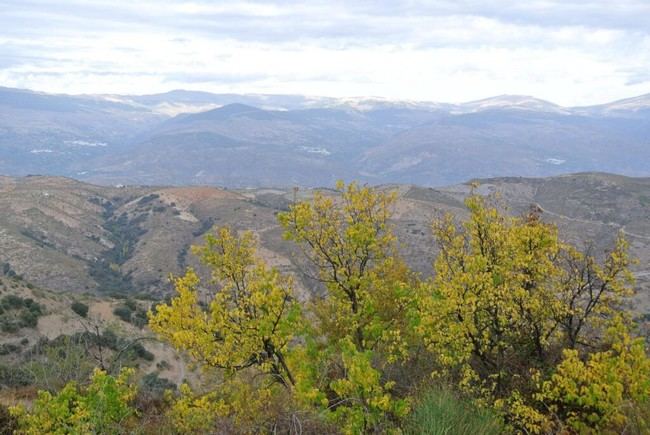 Murtas y Vícar organizan una ruta senderista al Cerrajón