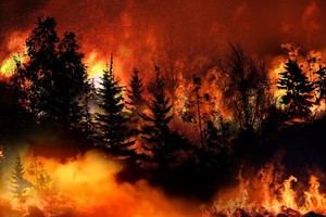 La temporada de incendios en la UE de 2025 es la más devastadora registrada