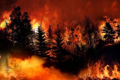 La temporada de incendios en la UE de 2025 es la más devastadora registrada