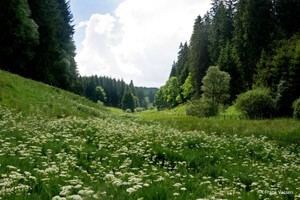 Natura 2000: Celebrando la mayor red de áreas naturales protegidas del mundo