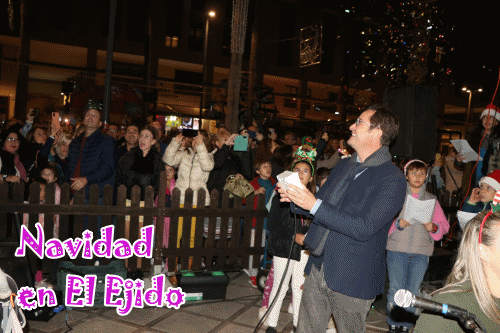 El Ejido da la bienvenida a la Navidad con 850.000 puntos LED