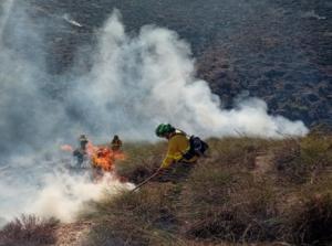 Medios aéreos y terrestres para combatir un incendio forestal en Carboneras