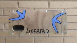 Mi nido para vencejos llamado Libertad