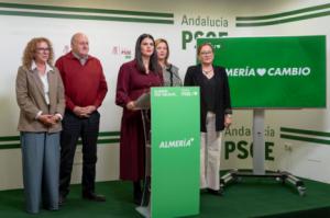 El PSOE votará en contra de los presupuestos de la Diputación por ser herencia de los dimitidos