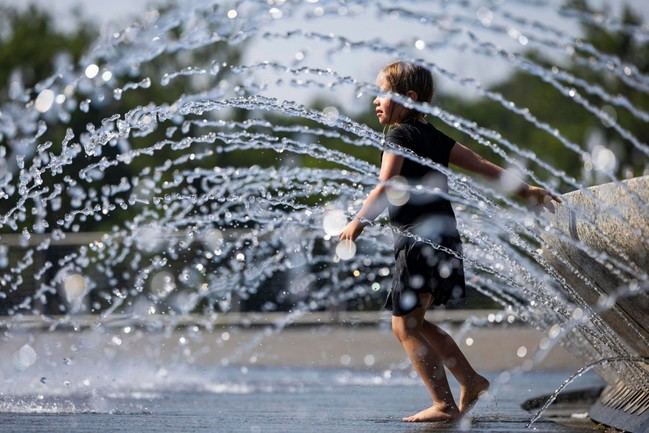 Primera ola de calor del verano: AEMET prevé hasta 43 grados este domingo