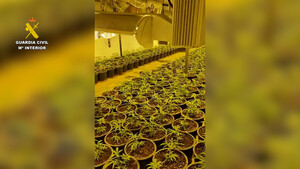 Desmantelan una macroplantación de marihuana en una nave de Huércal de Almería