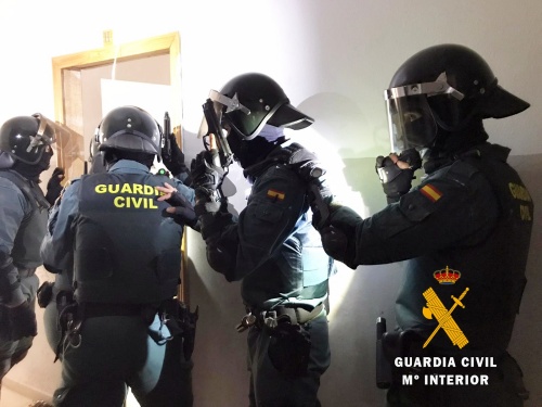 Desmantelan un narco-bloque con 4.200 plantas de marihuana en Roquetas