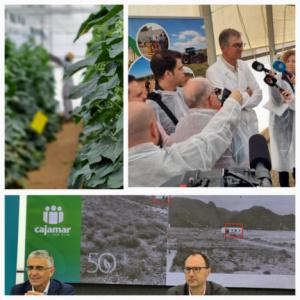Las Palmerillas: 50 Años Cultivando Innovación para la Agricultura Global