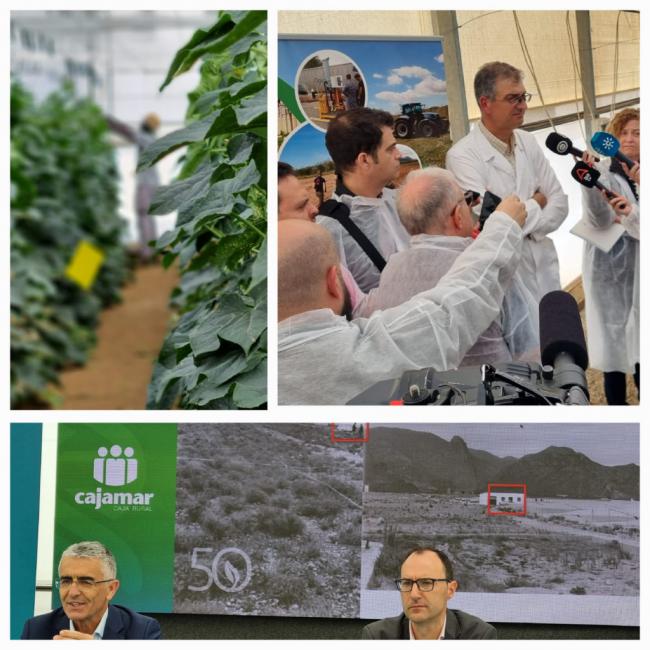 Las Palmerillas: 50 Años Cultivando Innovación para la Agricultura Global