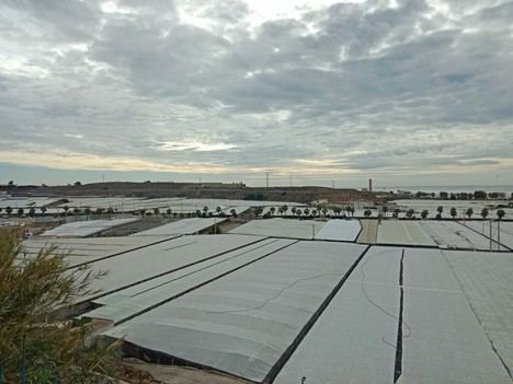 COAG Almería amenaza con movilizaciones por orden fiscal injusta