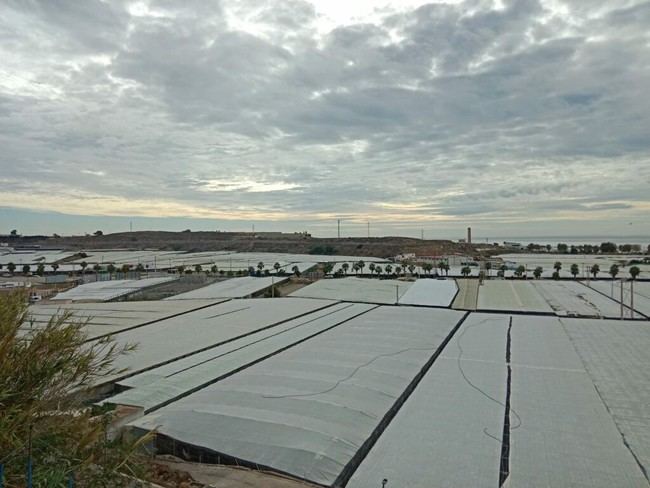COAG Almería logra excluir el IVA en la producción agrícola