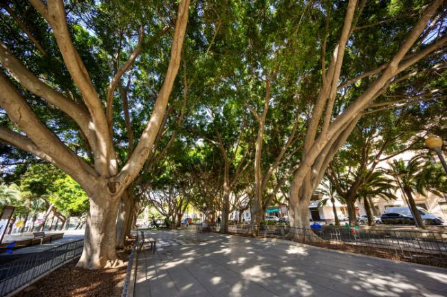 Estudio sobre el Parque Nicolás Salmerón de cara a futuras posibles intervenciones
 