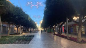 Habrá "ajustes" en los parterres del Paseo