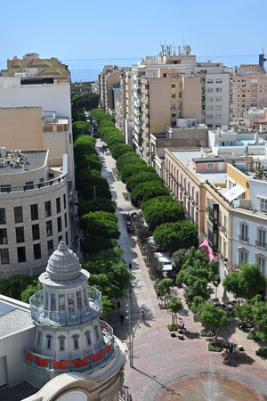 Sustituyen pavimento deteriorado en el Paseo de Almería