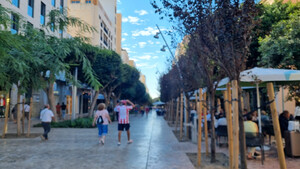 Remates finales en el Paseo de Almería tras darse por concluidas las obras