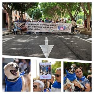 Veterinarios contra el RD 666/2023
