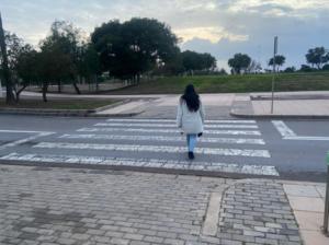 Mejora del alumbrado en El Toyo por 66.550 euros
