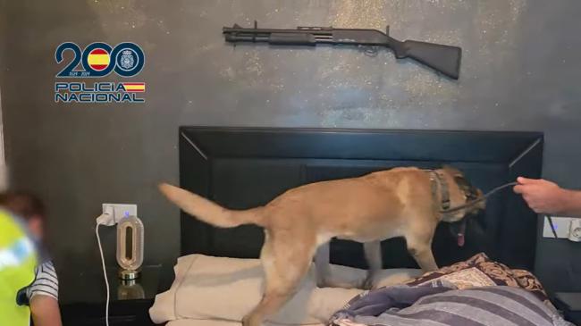 Golpea la Policía Nacional una red de tráfico de drogas y armas con epicentro en Almería