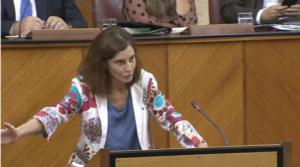Navarro (PSOE) deja en evidencia las contradicciones parlamentarias de Vox