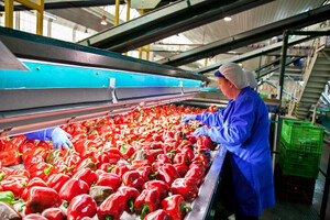 Almería empuja las exportaciones andaluzas hacia un nuevo récord histórico