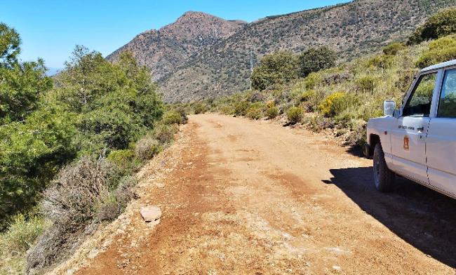 Dalías actúa en las pistas forestales de la Sierra de Gádor