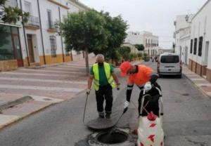 El Ayuntamiento de Dalías saca a licitación el contrato para el control de plagas