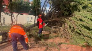 El Ejido mantiene activo su Plan de Emergencias