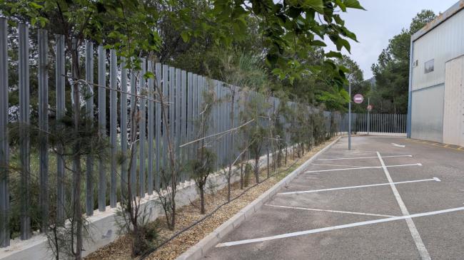 Purchena amplía sus zonas verdes con árboles del Plan Savia de Diputación