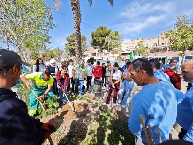 Vícar mejora sus espacios verdes con 1.550 nuevas plantas