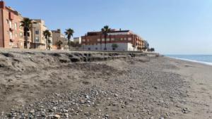Góngora exige información sobre la recuperación de la playa de Balerma antes de que acabe el verano