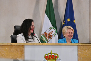 Aprobadas nuevas ordenanzas para agilizar licencias