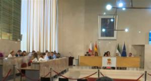 El pleno al completo en defensa de La Molineta