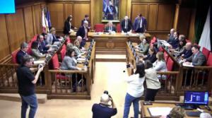 El Pleno de la Diputación de Almería ratifica las dimisiones de García y Giménez