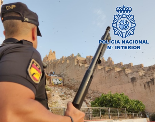 Otros tres detenidos en la operación contra el tráfico de drogas en San Cristobal