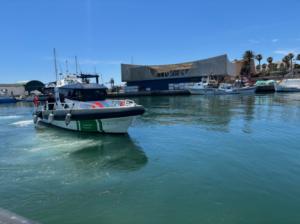 La mitad de sanciones de pesca en Almería son por el pulpo