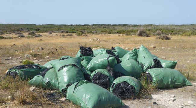 Los próximos vertederos de rafia