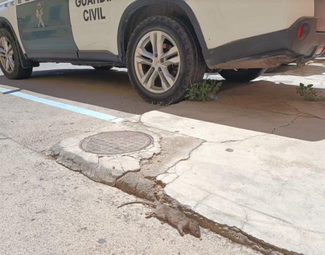 Ratas y cucarachas en el cuartel de la Guardia Civil de Roquetas de Mar