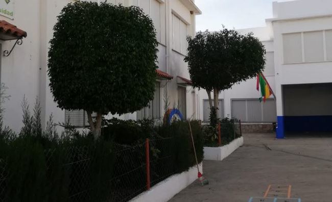 Adra pone a punto en jardinería los colegios en Navidad